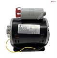 Электродвигатель (мотор для помпы кофемашины) 150Вт 230В 1.6А 50Гц 1350rpm 12µf - фото 34710